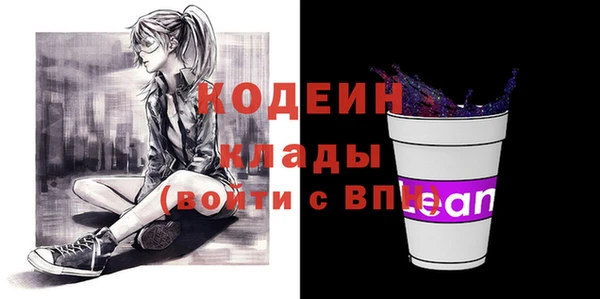 гашик Гусев