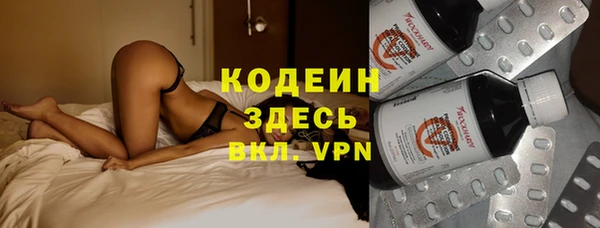 гашик Гусев