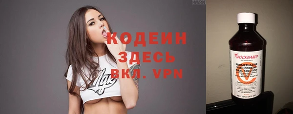 ГАЛЛЮЦИНОГЕННЫЕ ГРИБЫ Гусь-Хрустальный