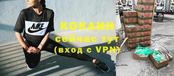 ГАЛЛЮЦИНОГЕННЫЕ ГРИБЫ Гусь-Хрустальный