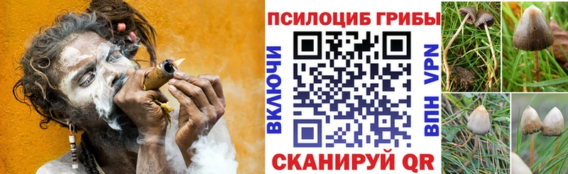 Галлюциногенные грибы ЛСД  сколько стоит  Дубовка 